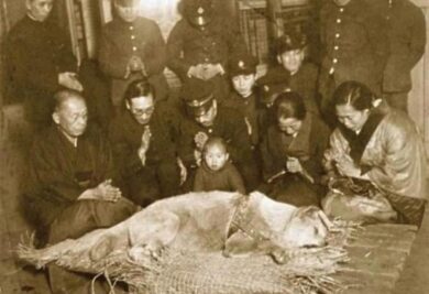 A última foto da Hachiko. Aquele cão que esperou o dono morto na estação por quase 10 anos. Exemplo de lealdade que falta a muitos seres humanos. A foto foi tirada em 8 de março de 1935. Hachiko tinha 11 anos. Filme(Sempre ao seu lado).