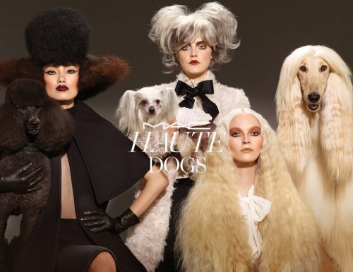 A nova linha de maquiagem da M.A.C. foi inspirada nos cães. (Foto: Divulgação)
