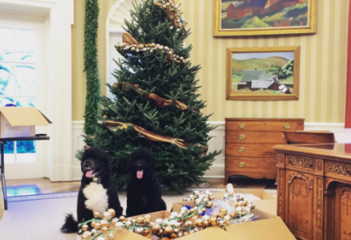 Bo e Sunny Obama ajudando a decorar a Casa Branca. (Foto: Reprodução / Instagram)