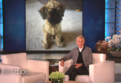 Ellen anuncia novo filhote em seu programa. (Foto: Reprodução / EllenTube)