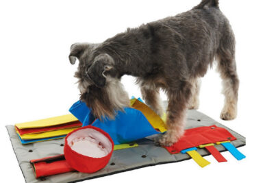 Um tapete cheio de atividades para distrair e divertir seu cão. (Foto: Divulgação / Pup Life)