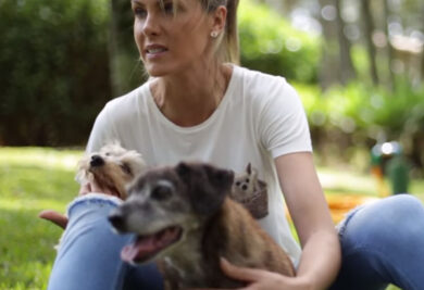 A apresentadora Ana Hickmann tem 20 cães de estimação em sua propriedade em Itu.
 (Foto: Reprodução / YouTube Canal Ana Hickmann)