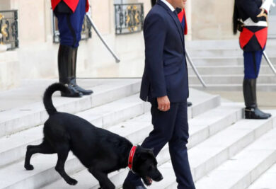 O cão já acompanhou o presidente em evento diplomático. (Foto: Reprodução / The Telegraph UK / Charles Platiau / Reuters)