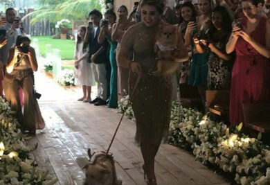 As cadelinhas foram levadas até o altar pela irmã do noivo. (Foto: Reprodução / Instagram @brasil_antenado)