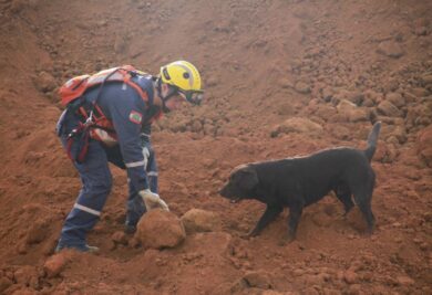 Buscas continuam em Brumadinho (MG) | Foto: Divulgação / Corpo de Bombeiros