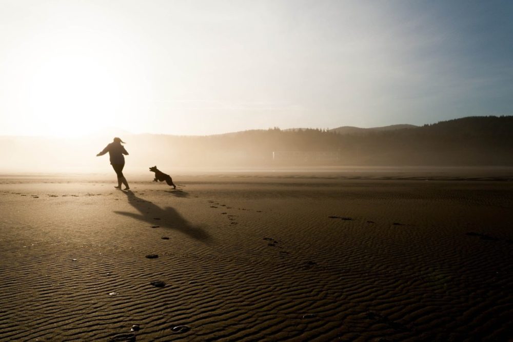 Cão e dona correndo na praia no amanhecer