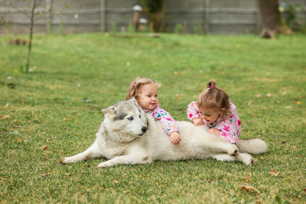 Crianças com cachorro 