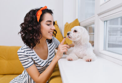 Portrait amazing joyful fashionable young woman playing with little dog in modern apartment. Having fun with home pets, smiling, cheerful mood, at home