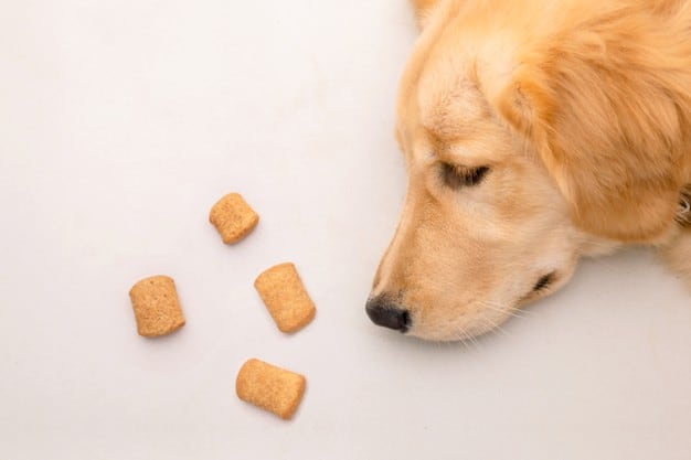 cachorro com seus biscoitos
