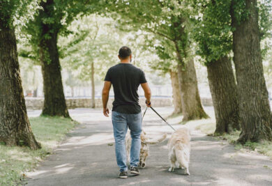 Deficiente visual caminhando com o seu cão-guia no parque. Foto: Freepik