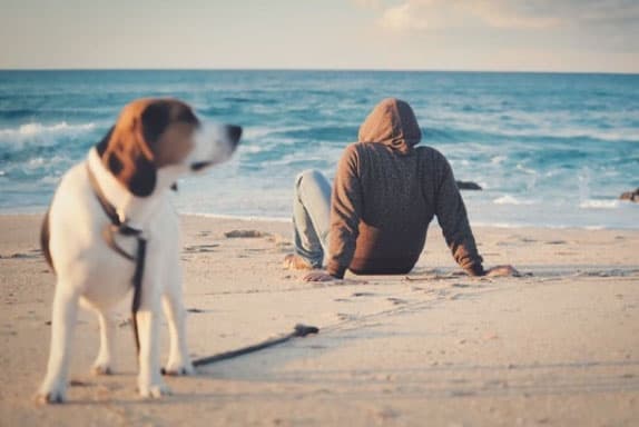 cão e tutor na praia