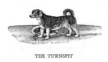 Turnspit Dog