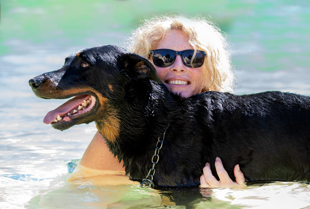 A hidroterapia é boa para o seu cão?