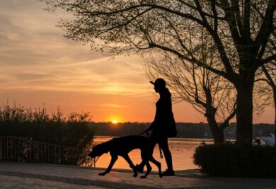 Caminhando com o cachorro no parque - Foto: Canva