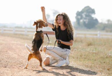 O adestramento contínuo ajuda o cão a fixar os conhecimentos já adquiridos, tornando seu dia a dia mais tranquilo e pacífico. Foto: Canva