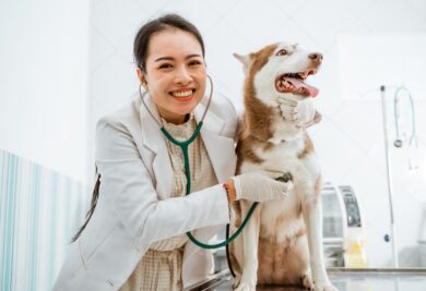 Veterinária examinando o cachorro fofo. Foto: Canva.