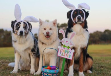Cachorrinhos prontos para celebrar a Páscoa. Foto: Canva.