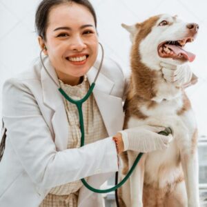 Veterinária atendendo cachorro. Foto: Canva.
